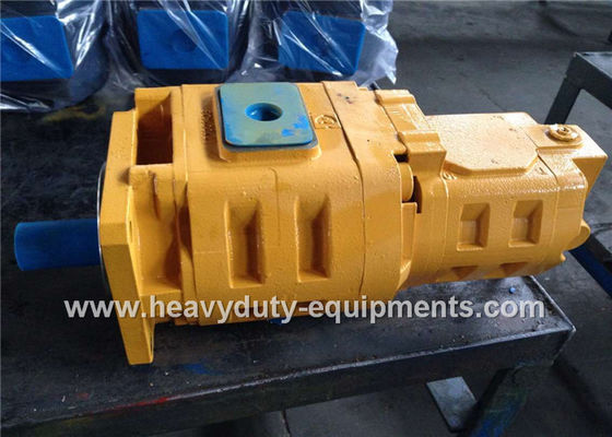 چین Hydraulic gear pump 1010000007 for Zoomlion crane with warranty تامین کننده